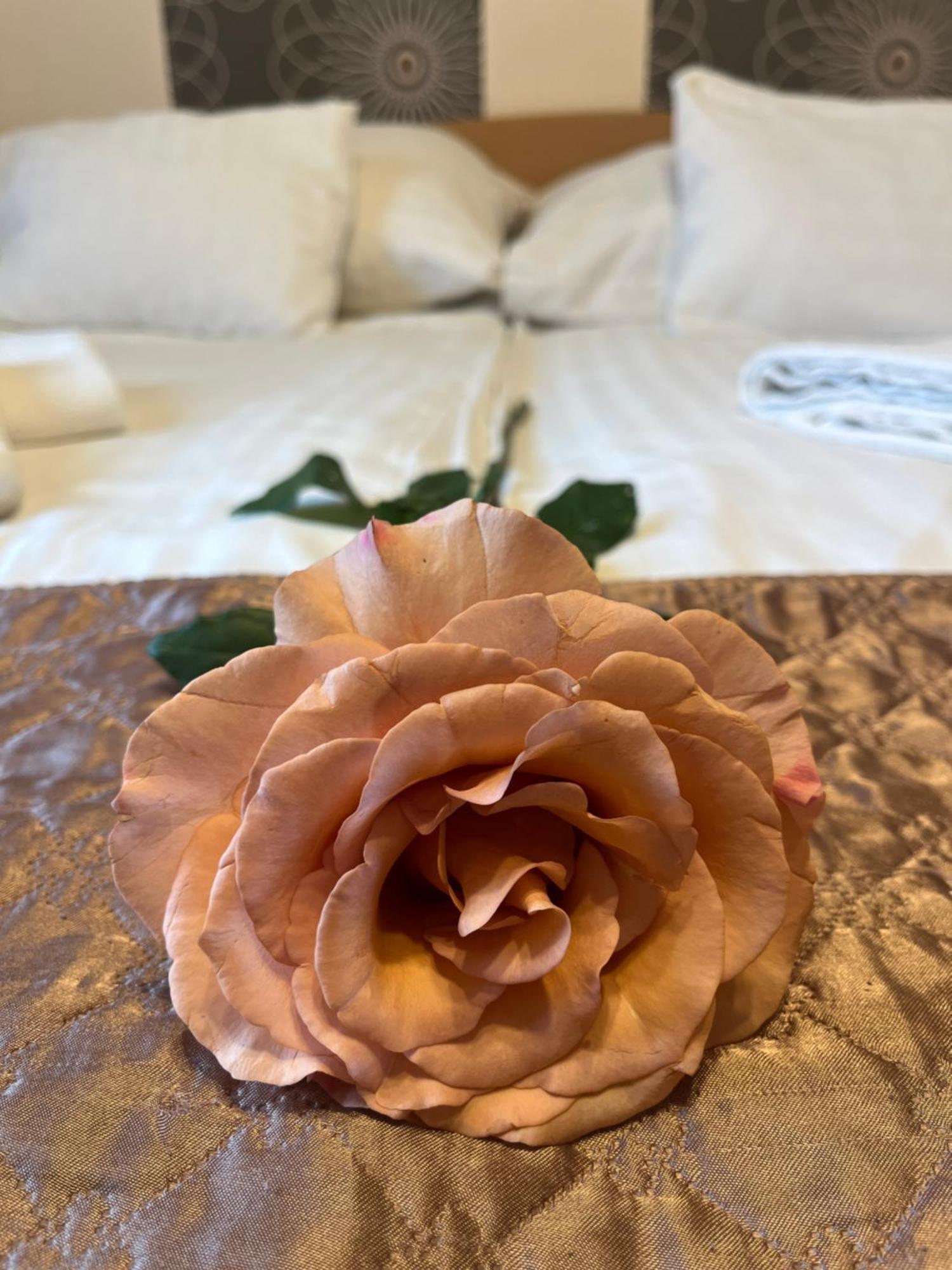 Hotel Rose City, Budapest